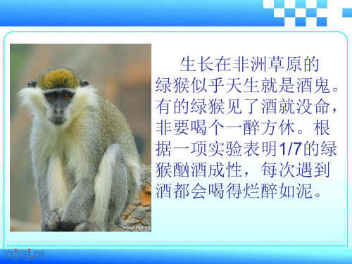 部编优质课一等奖初中语文七年级上册《动物笑谈》