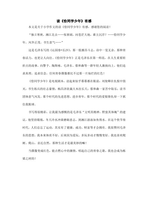读《恰同学少年》有感_小学作文