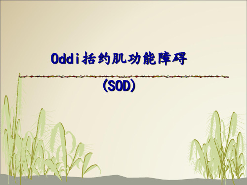 Oddi括约肌功能障碍(SOD)