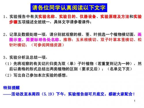 实验3 植物营养器官的形态学解剖观察