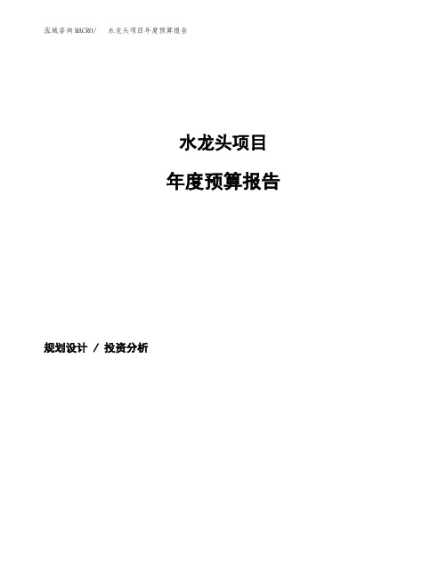 水龙头项目年度预算报告