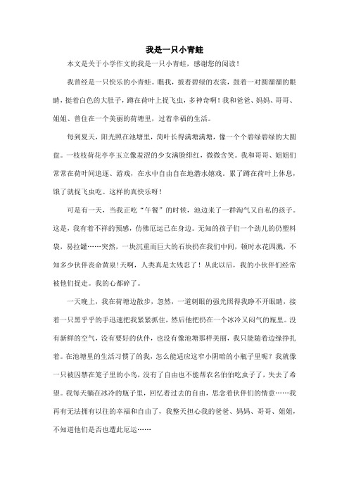 我是一只小青蛙_小学作文_4