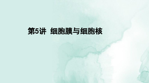 高三生物一轮复习精品课件4：第5讲 细胞膜与细胞核