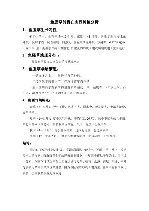 鱼腥草