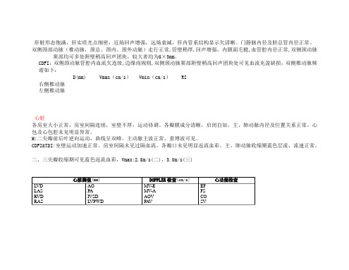 超声描述