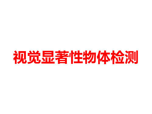 视觉显著性物体检测