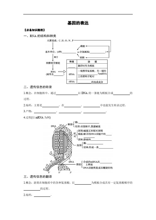 高中生物第六单元 遗传的物质基础学案-基因的表达 (1)