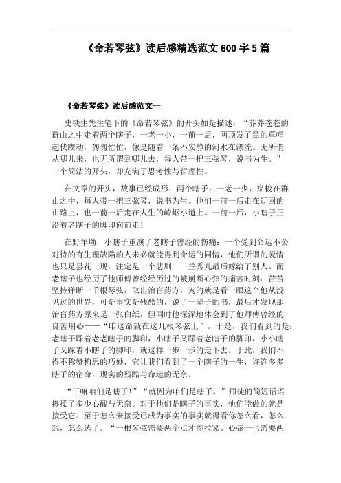 《命若琴弦》读后感精选范文600字5篇