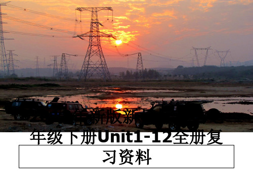 最新新版新目标英语七年级下册unit1-12全册复习资料教学讲义ppt课件