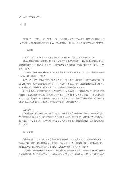 少林三十六手精要