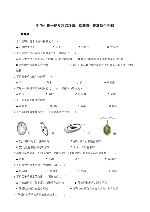 (名师整理)最新生物中考一轮复习《单细胞生物和原生生物》考点精炼(含答案)