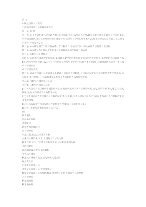 中键6局项目管理手册