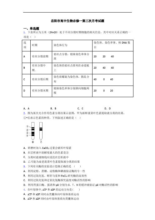 岳阳市高中生物必修一第三次月考试题