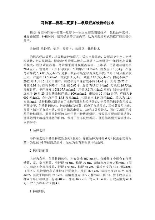 马铃薯—棉花—夏萝卜—秋绿豆高效栽培技术