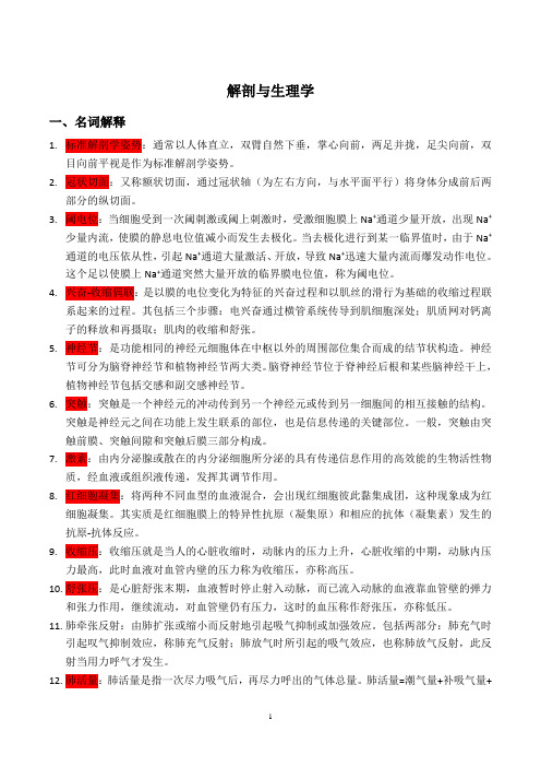 解剖生理学考试复习汇总