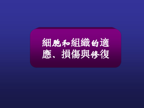 细胞和组织的适应、损伤与修复