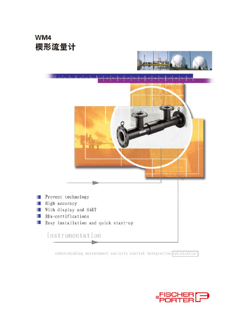 楔形流量计-选型说明书