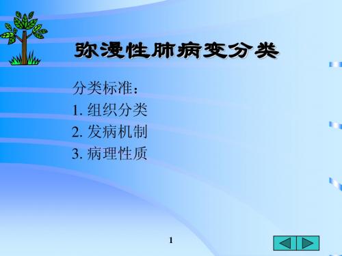 弥漫性肺病变