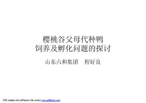 樱桃谷父母代种鸭饲养及孵化问题的探讨