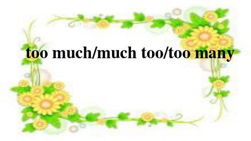too much,much too,too many的用法 ppt课件