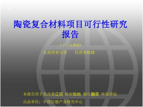 陶瓷复合材料项目可行性研究报告-精选文档