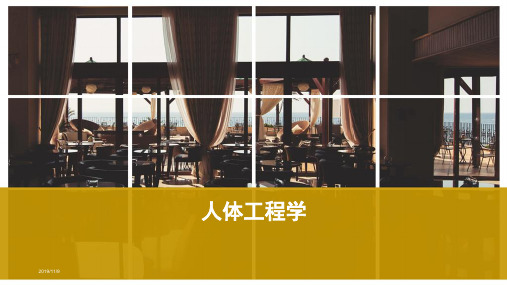 人体工程学在室内设计中的应用PPT课件