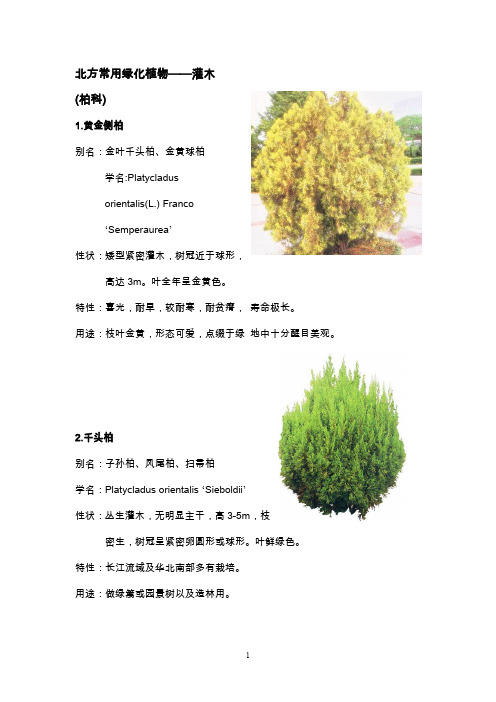 北方园林绿化常用植物-灌木