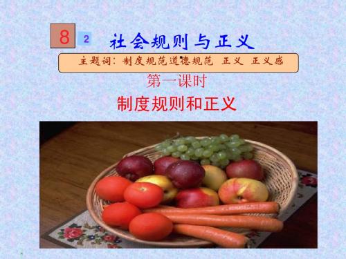 8.2 社会规则与正义 课件6(政治粤教版八年级下册)