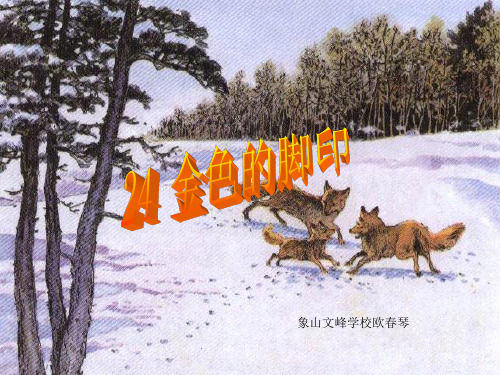 金色的脚印课件