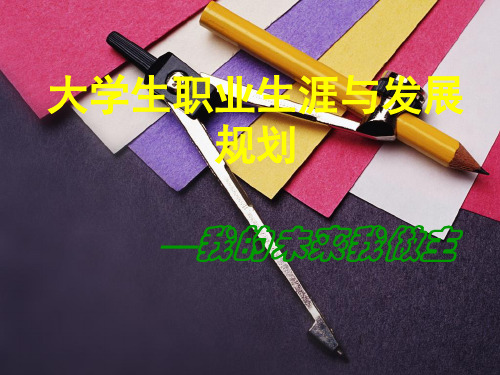 大学生职业规划PPT完整版