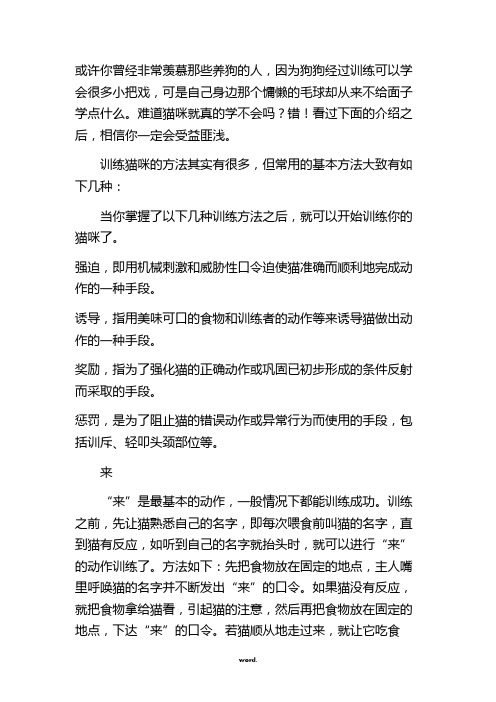 如何训练猫