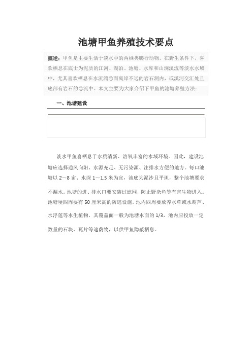 池塘甲鱼养殖技术要点