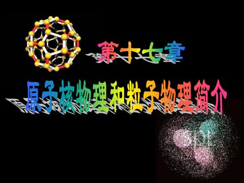 17原子核物理和粒子物理简介