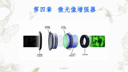 微光像增强器课件
