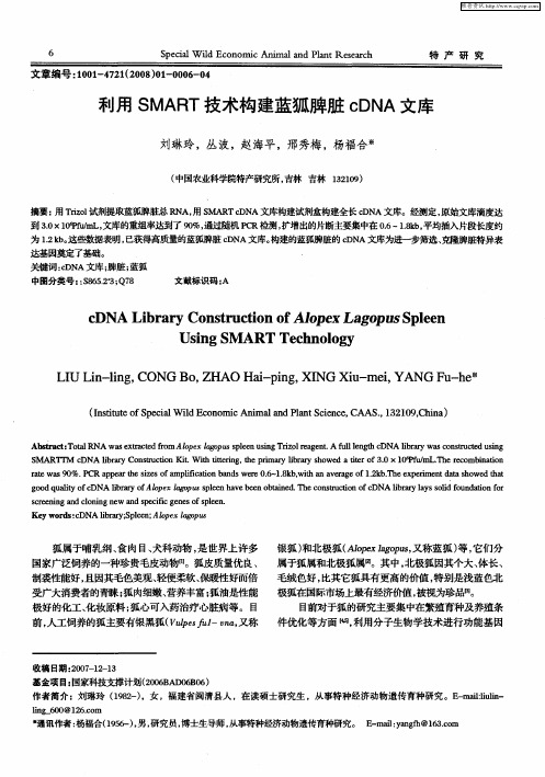 利用SMART技术构建蓝狐脾脏cDNA文库