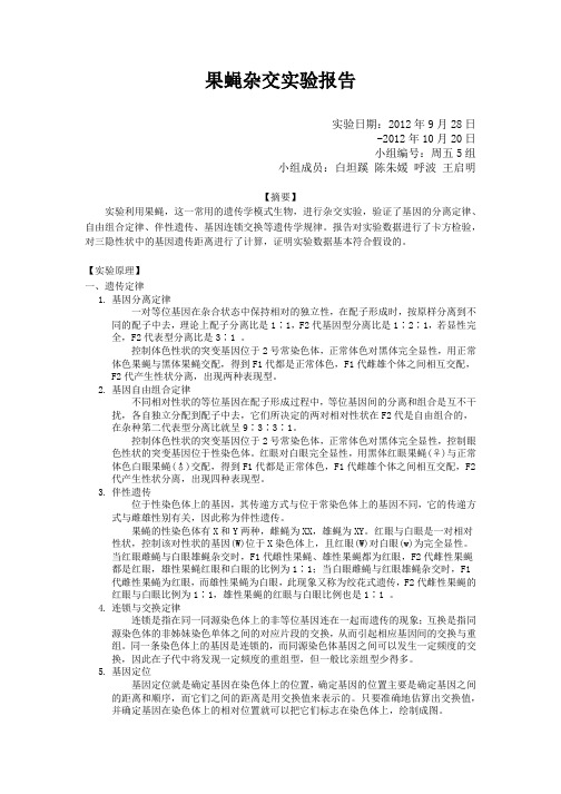 果蝇杂交实验报告