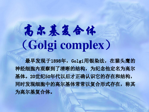 高尔基复合体