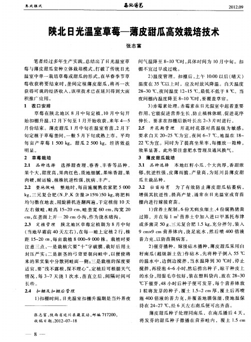 陕北日光温室草莓—薄皮甜瓜高效栽培技术