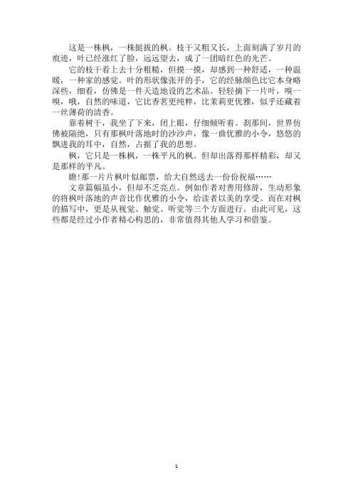最新枫作文