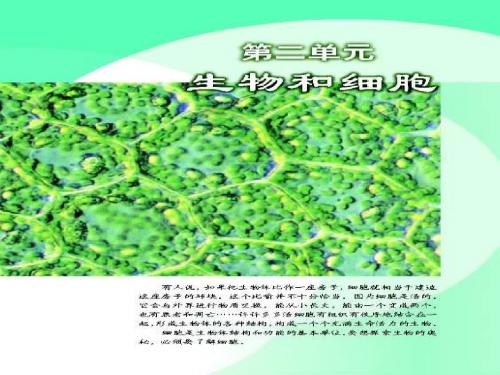 练习使用显微镜