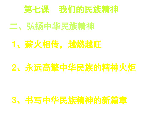 高二政治弘扬民族精神(新编教材)