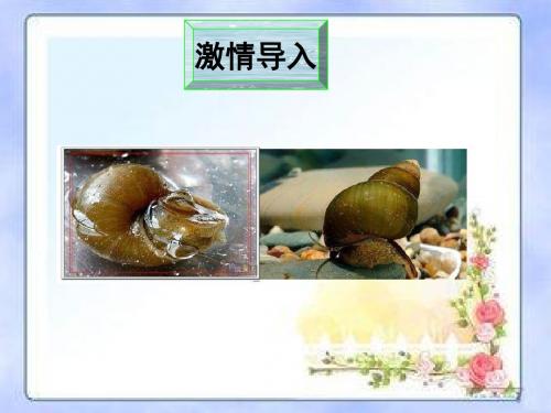六年级上册语文课件- 第八课  清炒小螺蛳 ∣ 教科版