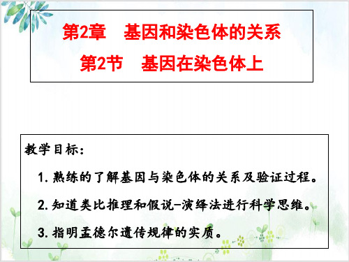 基因在染色体[上]人教版高中生物必修二课件2PPT课件