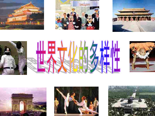 世界文化的多样性