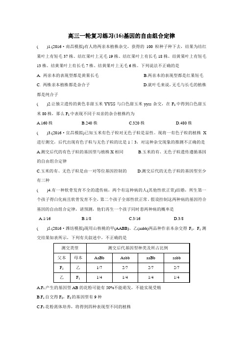 学2017高三生物一轮复习练习16(自由组合定律)(附答案)
