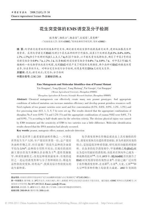 花生突变体的EMS诱变及分子检测