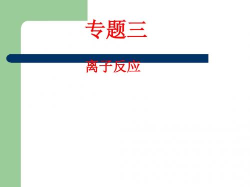 2013年高考化学专题课件：专题三 离子反应课件