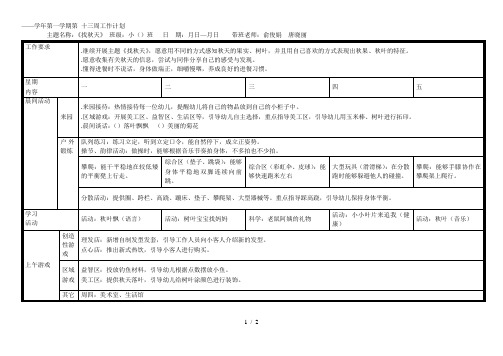 2018——2019学年第一学期第十三周工作计划