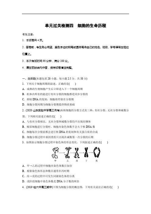 2021版高考生物一轮单元过关检测四 细胞的生命历程(含解析)