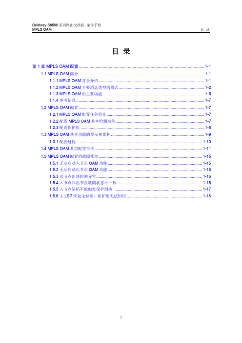 05-MPLS OAM配置